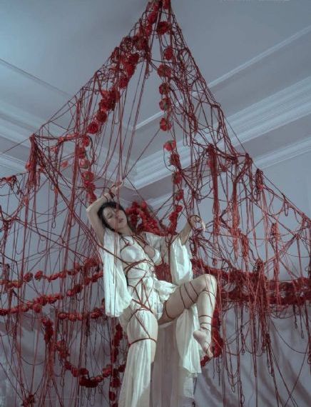 美丽姑娘免费视频观看全集完整版